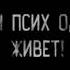 Там псих один живет Эксклюзивная история с бусти кота