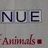 Avenue Voices Of Animals 1987