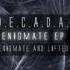 D E C A D A Enigmate Original Mix Timeless Moment