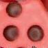 Asmr CR Satisfying Lips Rq