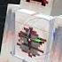 Have You Seen This Rare Warden In Minecraft