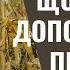 Мамо та ти справжня егоїстка Ми думали ти нам грші на машину даш а ти про відпочинок думаєш