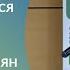 Три шага к сильным посевам как позаботиться о растениях на этапе подготовки семян