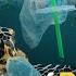 The Hidden Dangers Of Plastics Pollution For Marine Animals