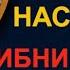 САД НАСИҲАТИ ИБНИ САЪДӢ ТОЧИКИ НАСИХАТ ИБНИ САЪДИ