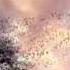 Cocteau Twins Alice Deep Space Remix