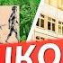Теорию Дарвина в России предложили отменить РПЦ и правительство против эволюции Биолог Фридман