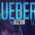 GUZIOR B L U E B E R R Y Dds Max Piasecki Bootleg