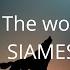 The Wolf Lyrics SIAMES