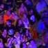 Scorpions Born To Touch Your Feelings Live In Athens 2013