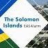 Bingo Reacts To Solomon Islands EAS Alarm