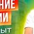 Мюнхенский университет Людвига Максимилиана Самое подробное интервью про учебу и жизнь в Германии