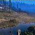 Music To Meditate To Skellig Isles Witcher 3 Wild Hunt