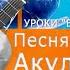 Акула Продвинутый уровень Разбор аккордов и приёмов игры