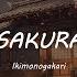 SAKURA Ikimonogakari いきものがかり Lyrics Video Viet Rom Eng Kan