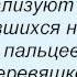 Слова песни Гражданская оборона Мёртвый сезон