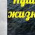 Викентий Вересаев Пушкин в жизни часть 2 аудиокнига