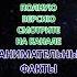 Они просто вышли из зеркала