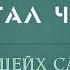 Почему ислам стал чуждым Шейх Саид Фуда