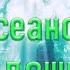 Оздоровительный сеанс Ладошки Wellness Session Palms 14 06 21