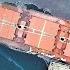 Столкновение цена ошибки Учебный фильм судоходство моряки авария столкновение Levantes