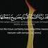 Surah Al Mulk Ayat 5 L Mishary Rashid Alafasy Shorts