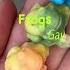 Gay Frogs Soap Remix Turnthefrigginfrogsgay Gayfrogs Frogs Soapcutting Soapmaker Rainbow