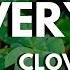 Watch This BEFORE You Start A Clover Lawn It S A BIG Commitment Clover Lawns 101