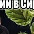 Михаил Хазин Сильнее всего