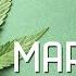 How Does Marijuana Affect Your Brain