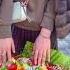 Чеченская Песня Сан Безам