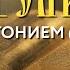 Толкование Евангелия с митр Антонием Паканичем Воскресенье 10 ноября 2024 года