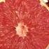 Patz Grimbard Feat Julia Engelmann Grapefruit