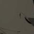 Ajin AMV I Get Wicked