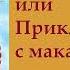 Аудио книга Путь Кассандры или Приключения с макаронами Юлии Вознесенской часть 1