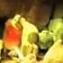 Rammstein Links 2 3 4 Official Video