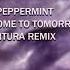 Miss Peppermint Welcome To Tomorrow DJ VENTURA Remix