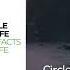 PREMIERE Circle Of Life The Facts Of Life Movement Recordings