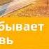 29 октября 2024 Иисус не забывает Свою церковь Возвращение домой Адвентисты