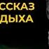 Эрнест Хемингуэй Снега Килиманджаро Читает Константин Ермихин Лучшие Аудиокниги Онлайн