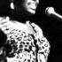 Miriam Makeba The Naughty Little Flea