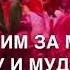 Озвучка для учительницы