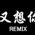 我又想你了 劉奕辰 DJ抖音 Remix 抖音热门歌曲 夜深了卻還是睡不著 只想聽到你的聲音 抖音 Hot Tiktok Douyin Baozhang Remix