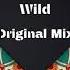 Swakky Wild Original Mix