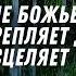 Слово Божественная живительная сила которая принесет облегчение душам и телам Relaxing