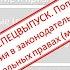 Права и свободы человека СПЕЦВЫПУСК Урок 4 1 Изменения в избирательном законодательстве РФ 2020