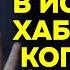 Невзоров Смешно Как бьется в истерике Хабенский когда его кино не уважают или критикуют Случай из