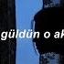 Pinhani Ne Güzel Güldün Lyrics