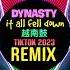 DYNASTY X FICTION 越南鼓 HL Harvey Remix Tiktok 2023 It All Fell Down Remix Hot Tiktok Douyin DJ抖音版