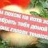 В моих глазах горит квазар